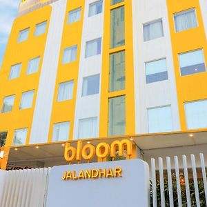 Bloom Hotel - Jalandhar